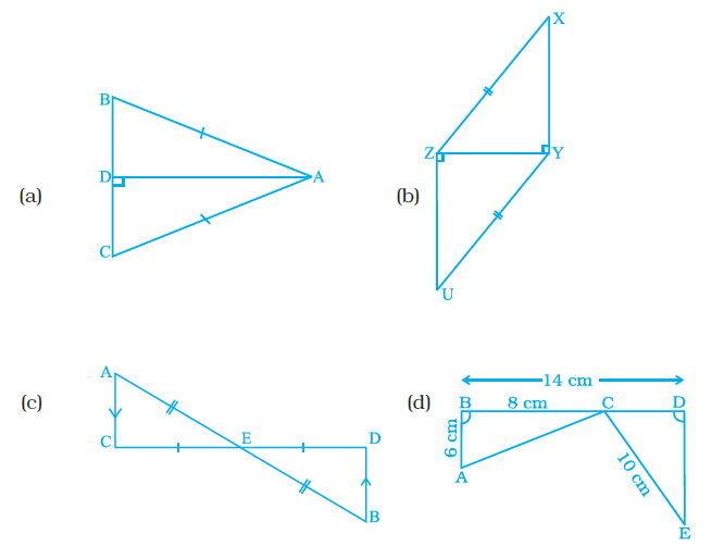 Page 177 Chapter 6 Class 7th NCERT Exemplar